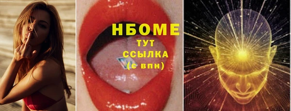 прущие грибы Каменск-Шахтинский