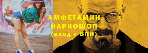 прущие грибы Каменск-Шахтинский