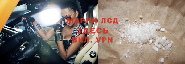 прущие грибы Каменск-Шахтинский