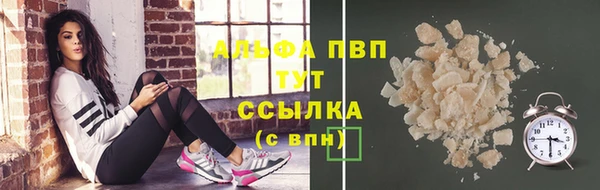 прущие грибы Каменск-Шахтинский