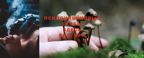 наркотики Каменка