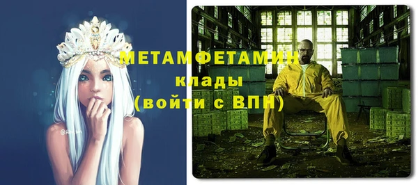 прущие грибы Каменск-Шахтинский