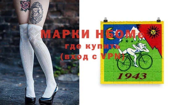 прущие грибы Каменск-Шахтинский