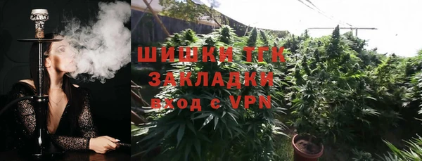 прущие грибы Каменск-Шахтинский