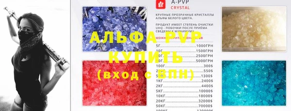 прущие грибы Каменск-Шахтинский
