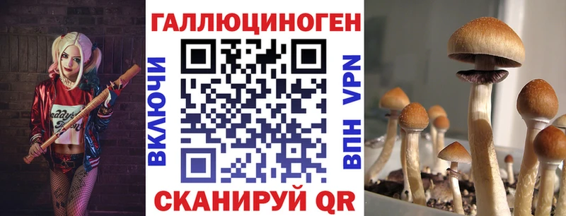 Купить  Приозерск  Галлюциногенные грибы мицелий 